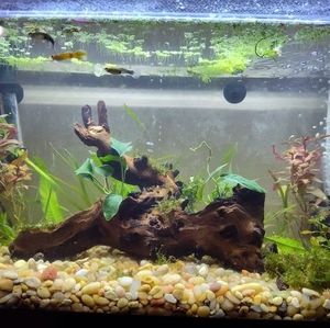 Meet your Posher, Boog